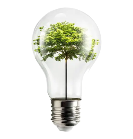 Eco Friendly Performance, Kyocera, Environment, Document Solutions Unlimited